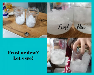 Frost or Dew_